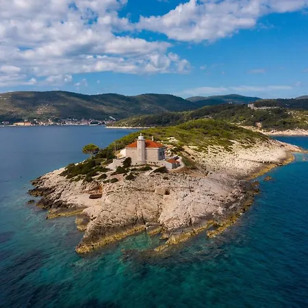 Vis